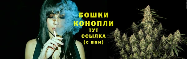 молекула духа Белоозёрский