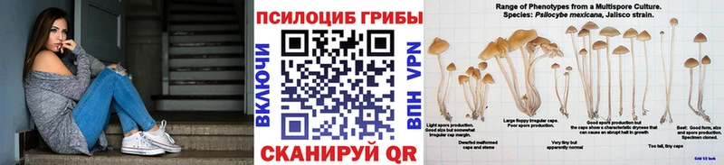 Псилоцибиновые грибы MAGIC MUSHROOMS ссылка на мегу онион Камень-на-Оби